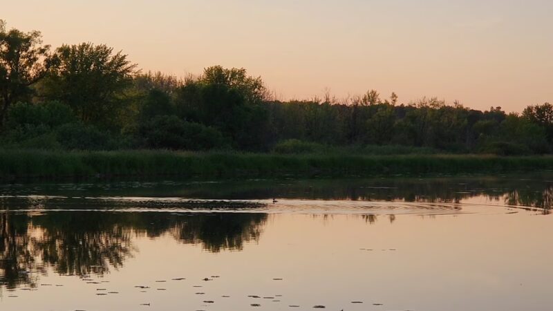 George W. Mead State Wildlife Area - Milladore, WI