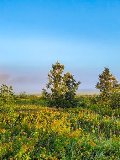 George W. Mead State Wildlife Area - Milladore, WI