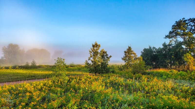 George W. Mead State Wildlife Area - Milladore, WI