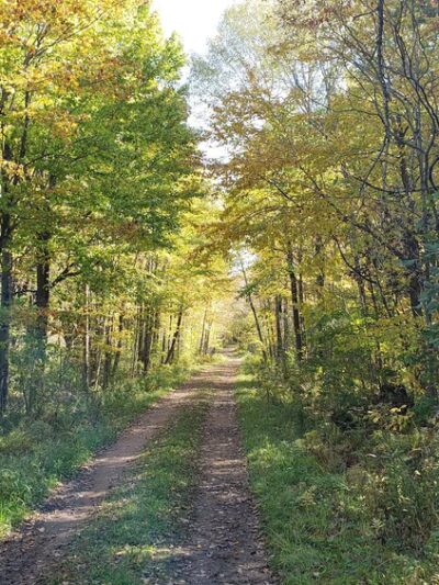 George W. Mead State Wildlife Area - Milladore, WI