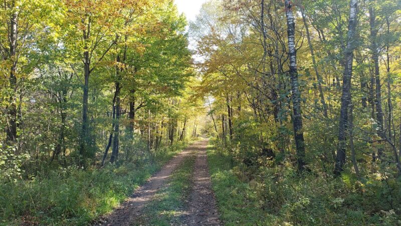 George W. Mead State Wildlife Area - Milladore, WI
