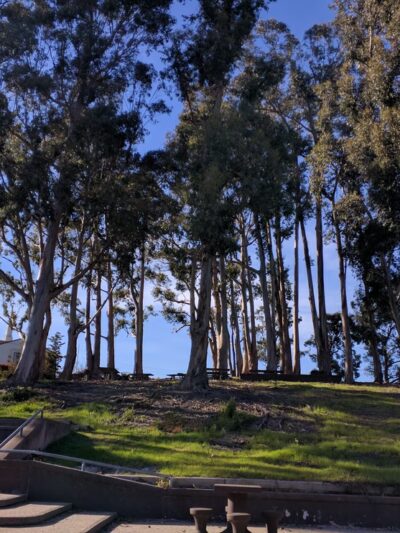 Green Hills Park - Millbrae, CA