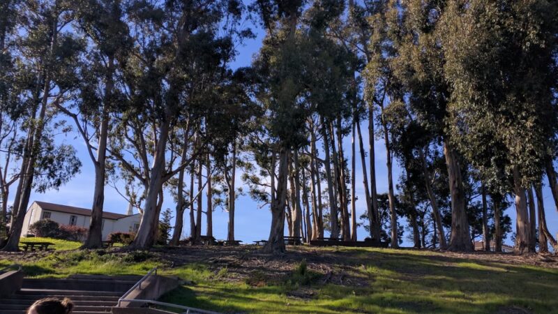 Green Hills Park - Millbrae, CA