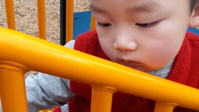 Green Hills Park - Millbrae, CA