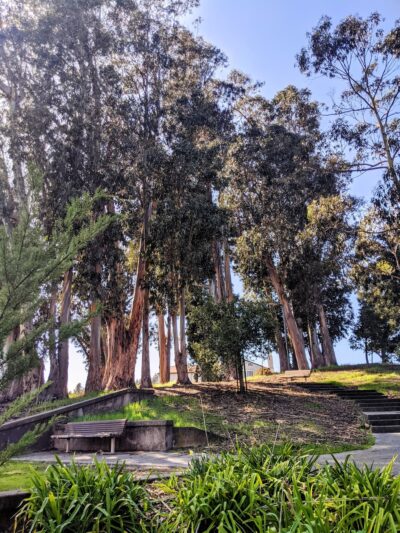 Green Hills Park - Millbrae, CA