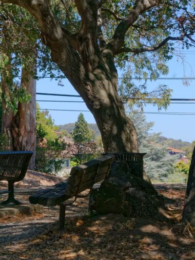 Josephine Waugh - Soroptimist Park - Millbrae, CA