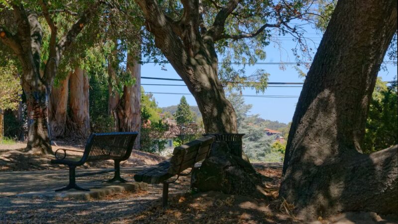 Josephine Waugh - Soroptimist Park - Millbrae, CA