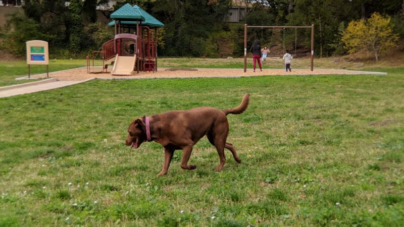 Millbrae Meadows Park - Millbrae, CA