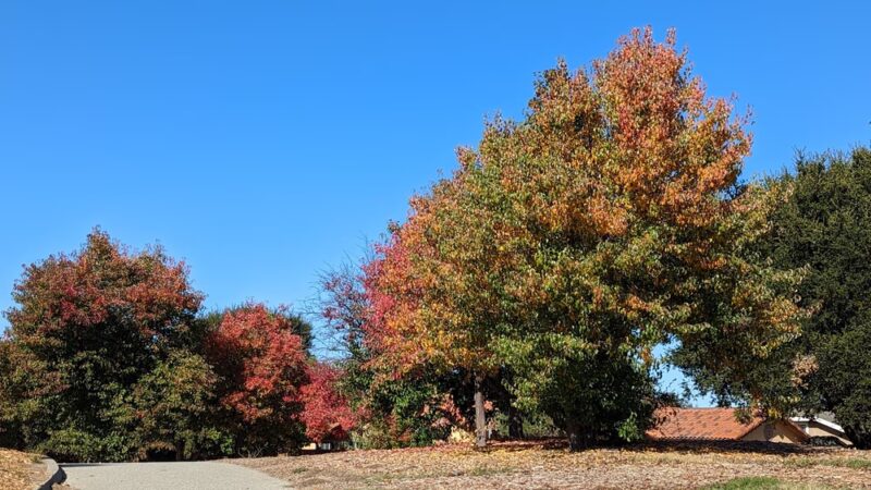 Millbrae Spur Trail - Millbrae, CA