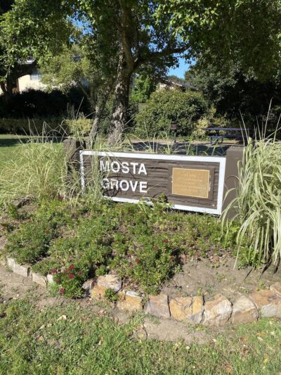 Mosta Grove - Millbrae, CA