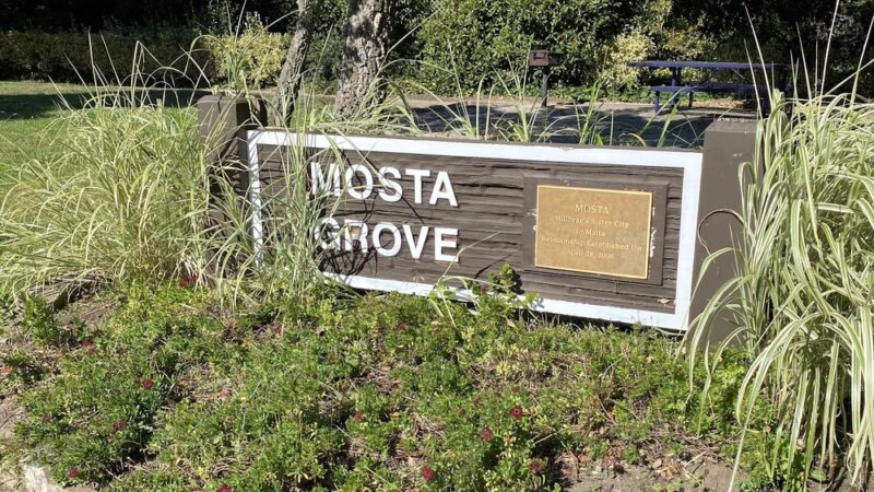 Mosta Grove - Millbrae, CA