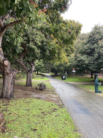 Mosta Grove - Millbrae, CA