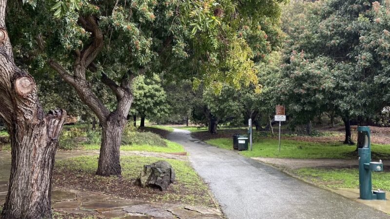 Mosta Grove - Millbrae, CA