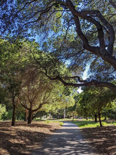 Mosta Grove - Millbrae, CA