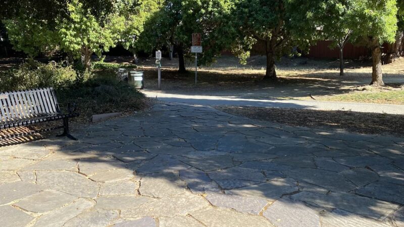 Mosta Grove - Millbrae, CA