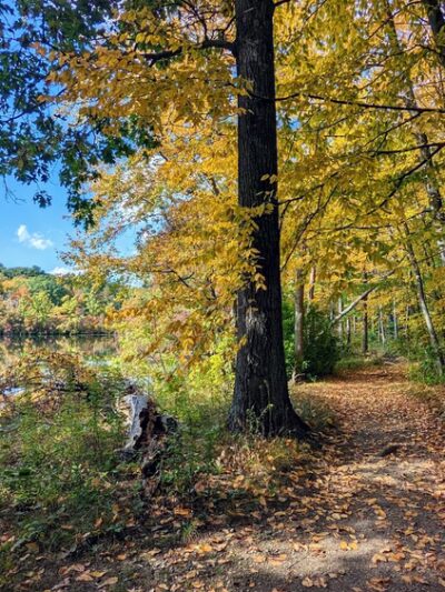 Dorothy Pond, Riverlin St Access - Millbury, MA