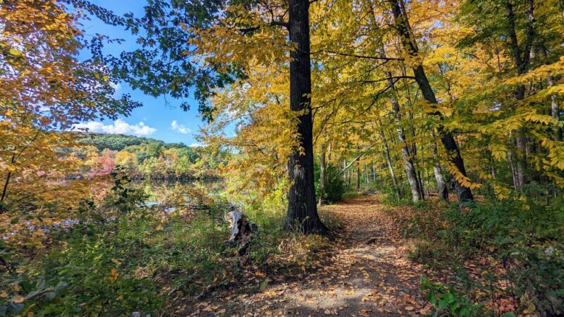 Dorothy Pond, Riverlin St Access - Millbury, MA