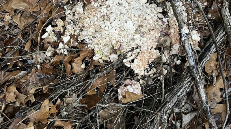 Montague Plains WMA Parking Area - Millers Falls, MA