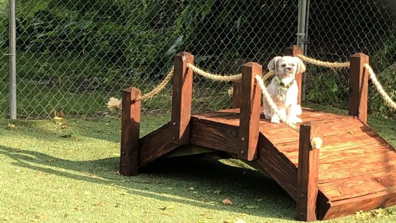 Bark of the Town Kennels - Millerstown, PA