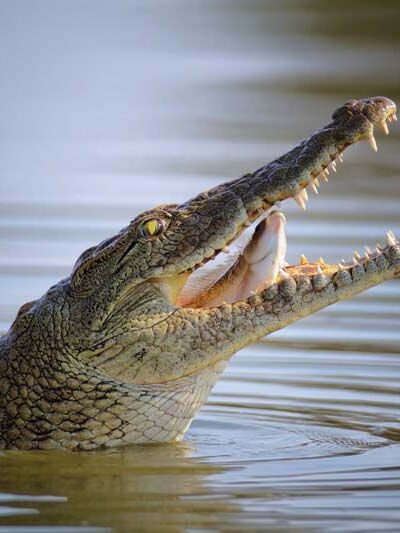 Anne Arundel Park Maintenance - Millersville, MD