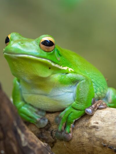 Anne Arundel Park Maintenance - Millersville, MD