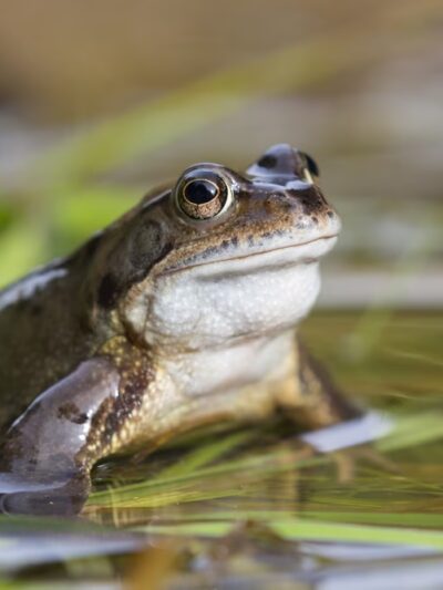Anne Arundel Park Maintenance - Millersville, MD