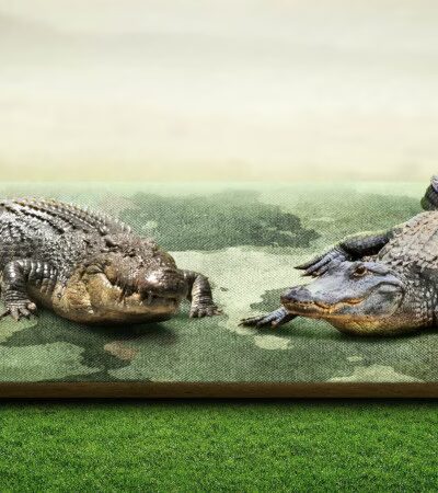 Anne Arundel Park Maintenance - Millersville, MD