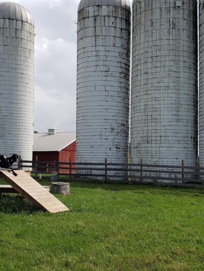 Kinder Farm Park - Millersville, MD