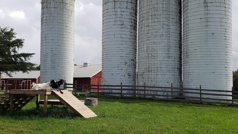 Kinder Farm Park - Millersville, MD