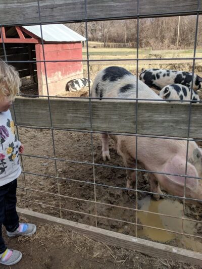 Kinder Farm Park - Millersville, MD