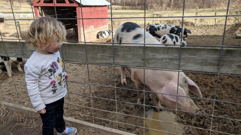Kinder Farm Park - Millersville, MD