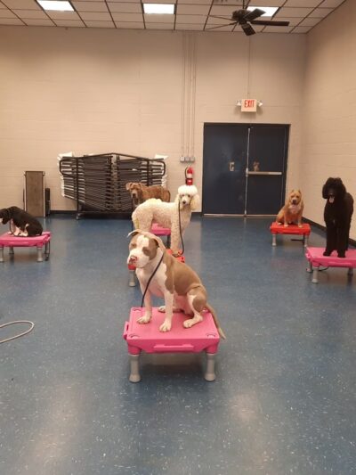 Leash Free Living - Millersville, MD