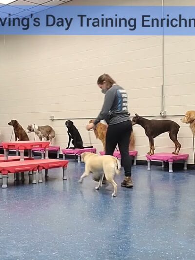 Leash Free Living - Millersville, MD