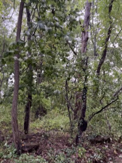 Perimeter Trail - Millersville, MD