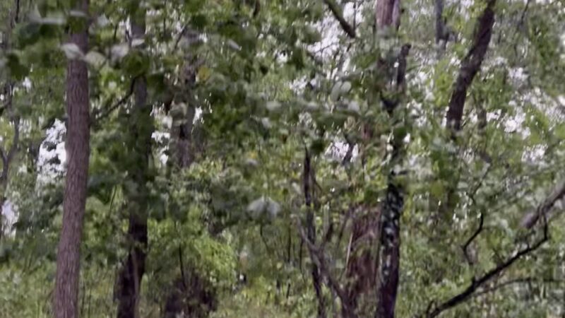 Perimeter Trail - Millersville, MD