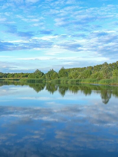Severn Run Environmental Area - Millersville, MD