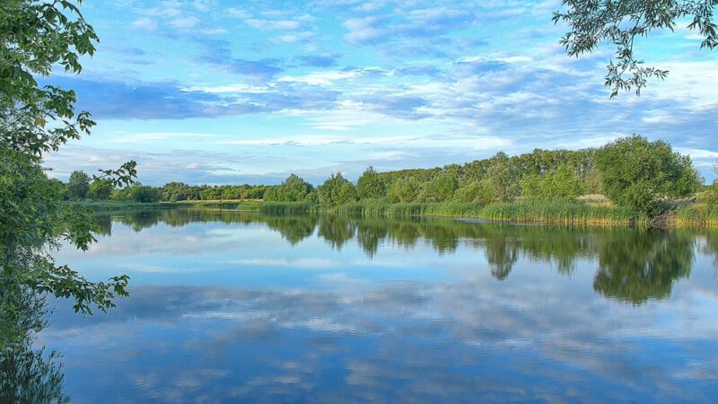 Severn Run Environmental Area - Millersville, MD