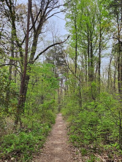 Severn Run Environmental Area - Millersville, MD
