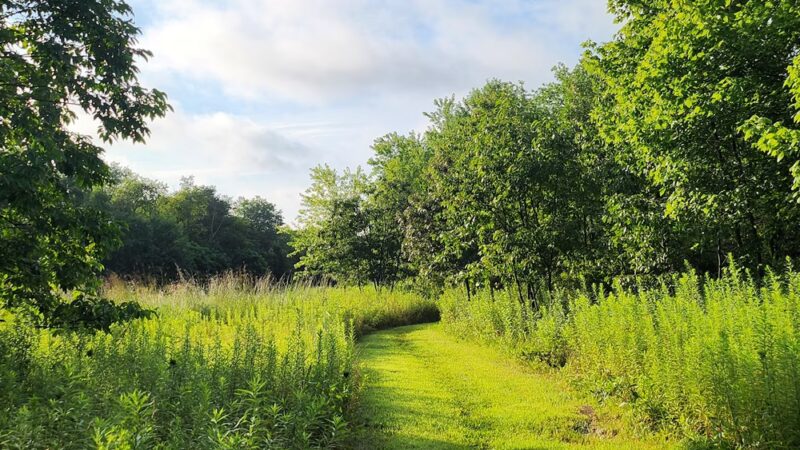 Trail Head Kinder Farm Park - Millersville, MD