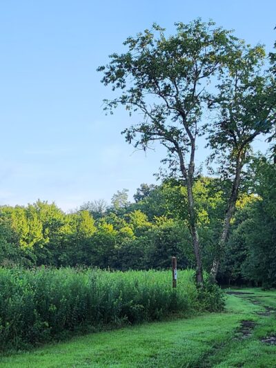 Trail Head Kinder Farm Park - Millersville, MD
