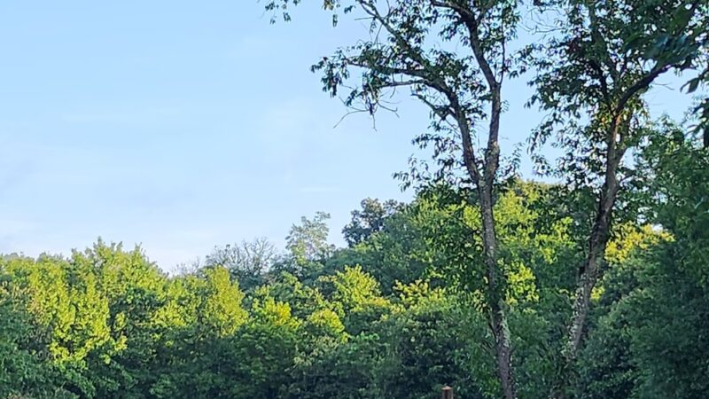 Trail Head Kinder Farm Park - Millersville, MD