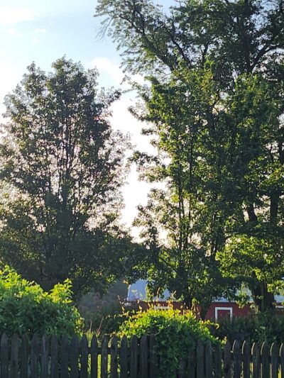 Trail Head Kinder Farm Park - Millersville, MD