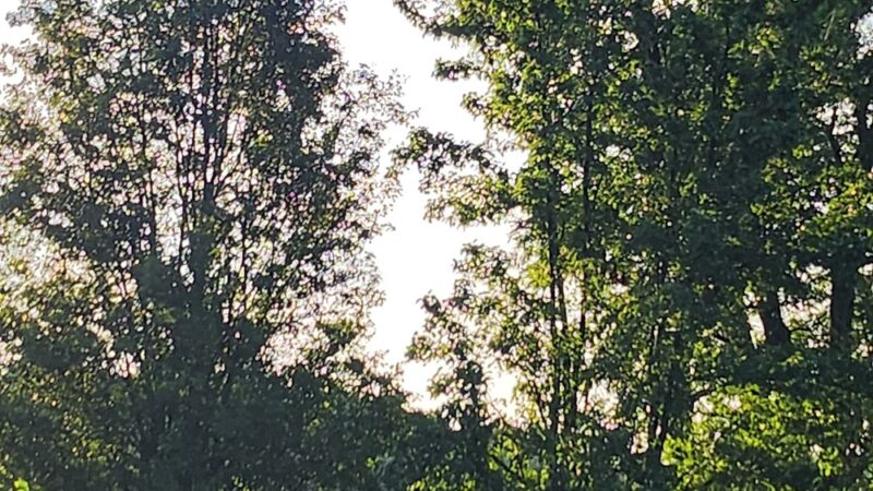 Trail Head Kinder Farm Park - Millersville, MD