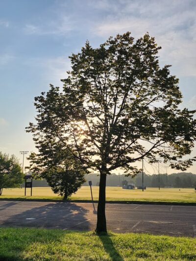 Trail Head Kinder Farm Park - Millersville, MD