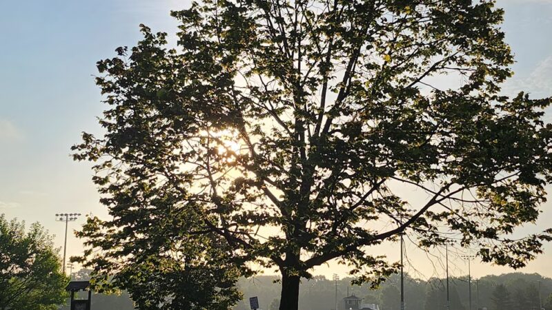 Trail Head Kinder Farm Park - Millersville, MD