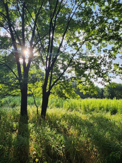 Trail Head Kinder Farm Park - Millersville, MD