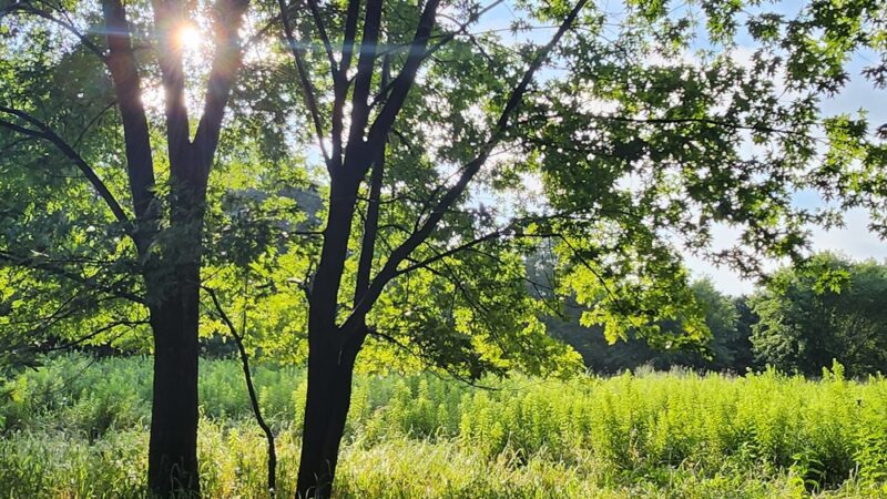 Trail Head Kinder Farm Park - Millersville, MD