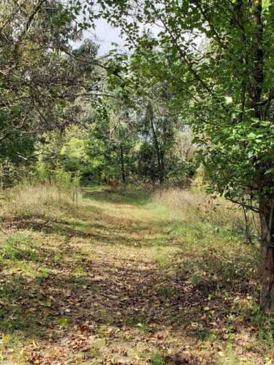 Wildflower Trail - Millersville, MD