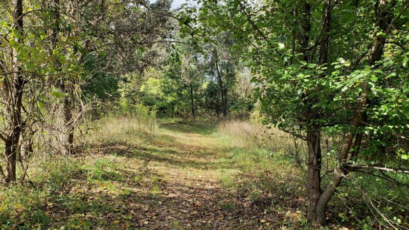 Wildflower Trail - Millersville, MD