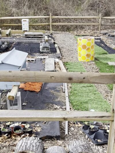 Wildflower Trail - Millersville, MD